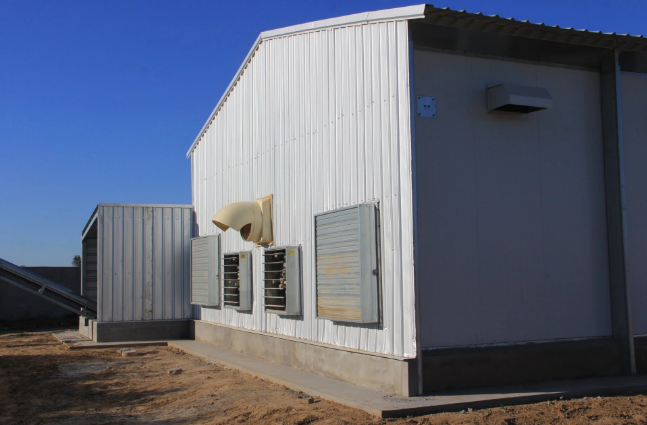 Estructura de acero económica y práctica casa de cultivo de ganado