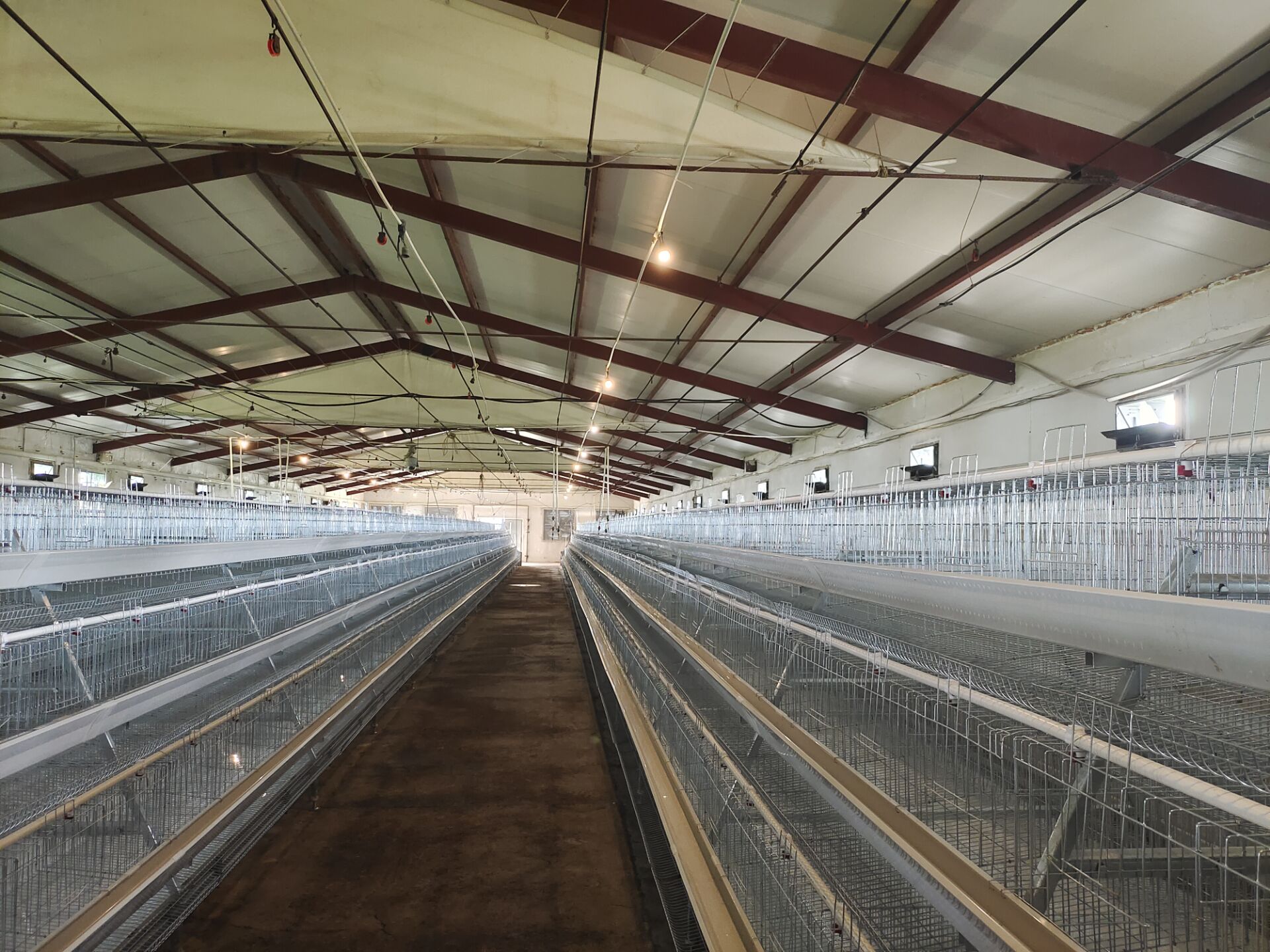 Casa de cultivo de ganado para gallinas de jaula