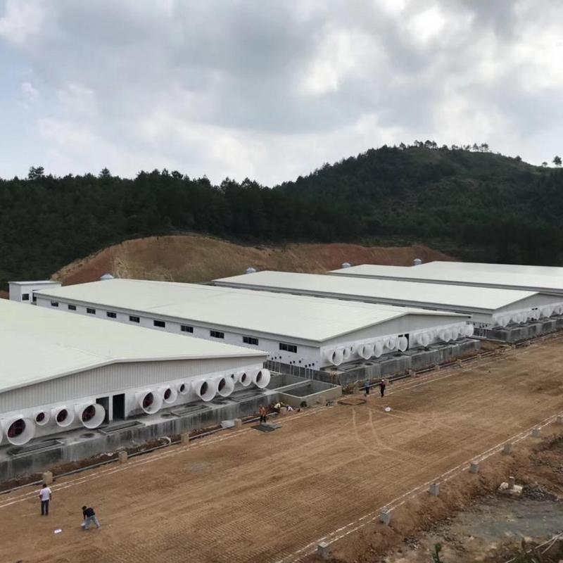 Casa de cultivo ganado práctico y hermosa en China