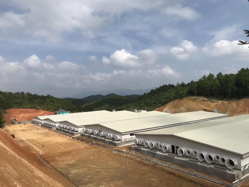 Casa de cultivo ganado práctico y hermosa en China