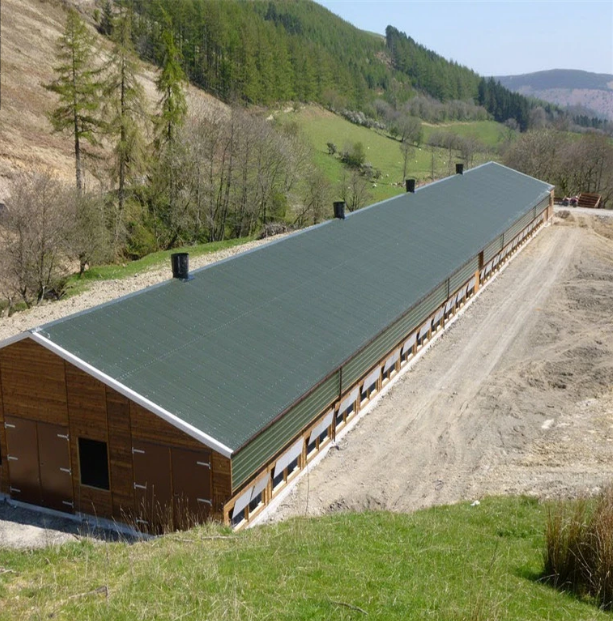 Casa de pollo avícola de la casa de cultivo de ganado de acero